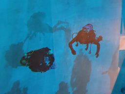 20230303 Nemo 33